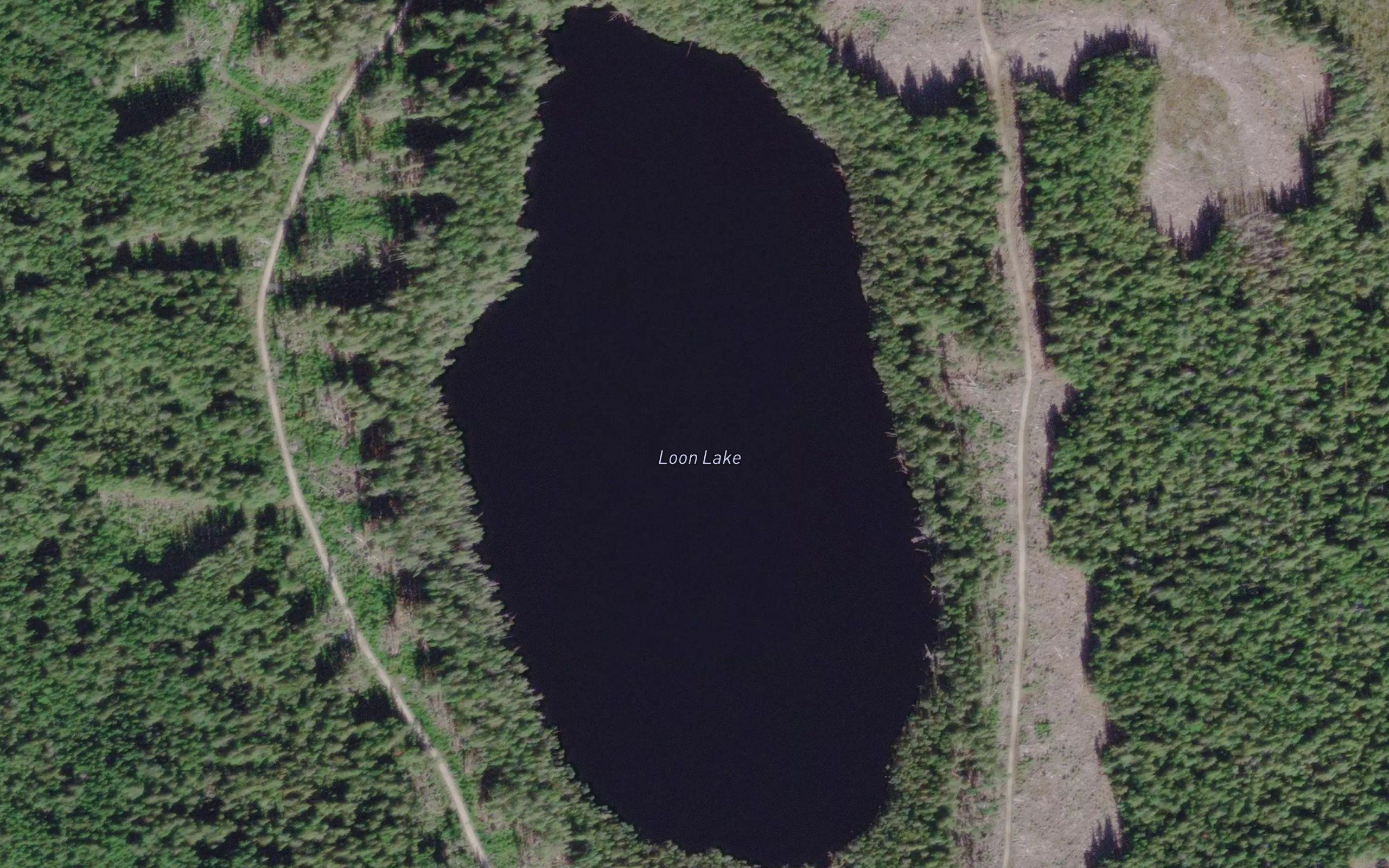 Loon Lake