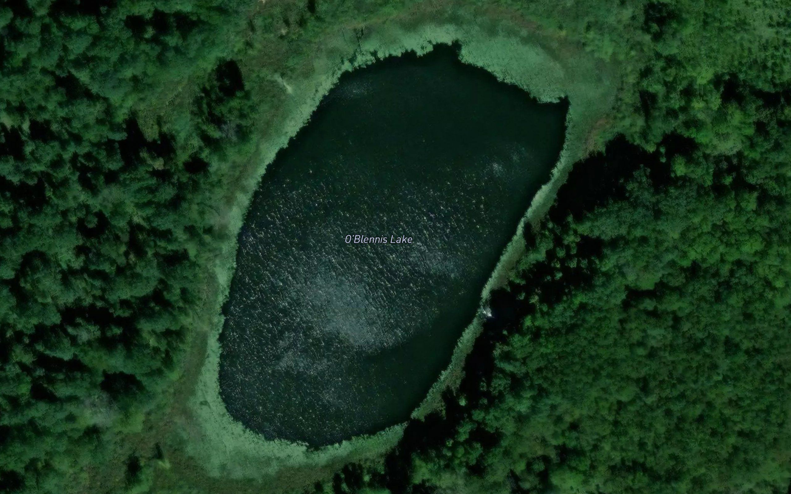 O'Blennis Lake