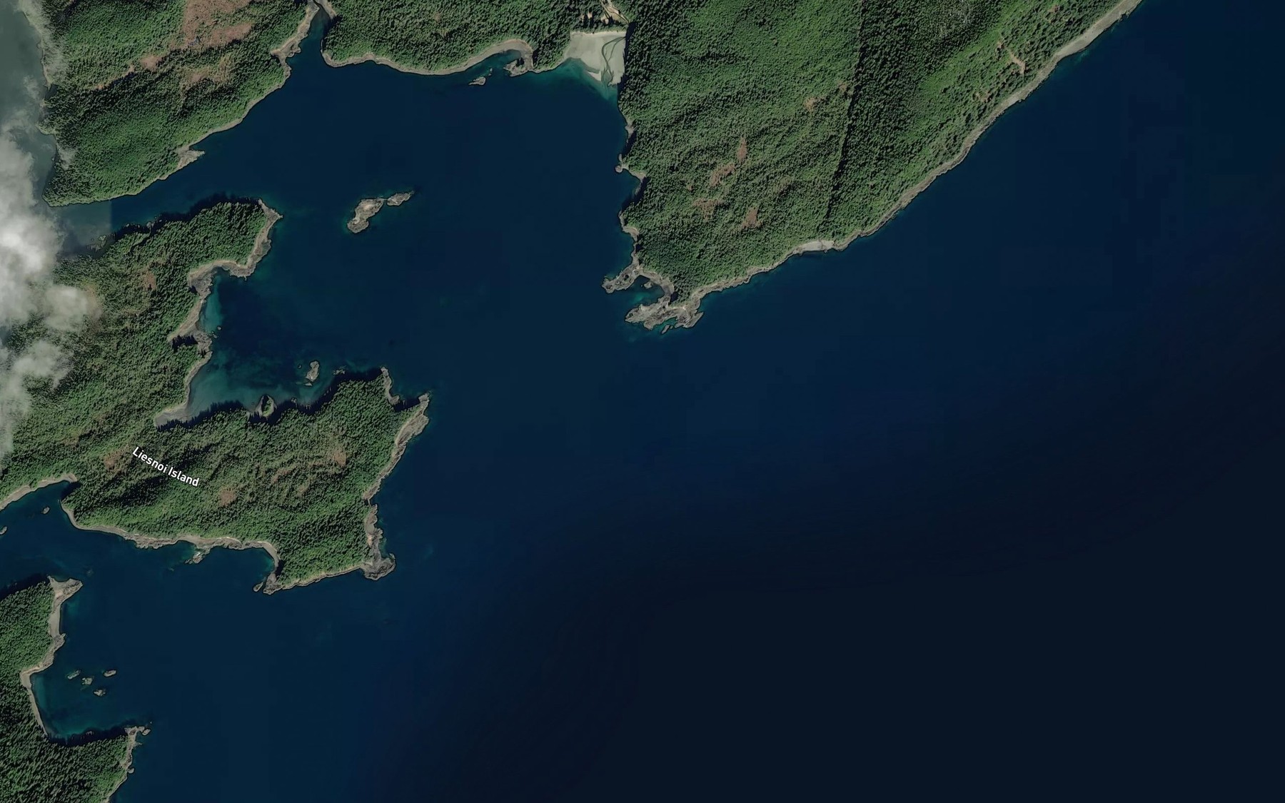 Satellite map of the Woewodski Harbor
