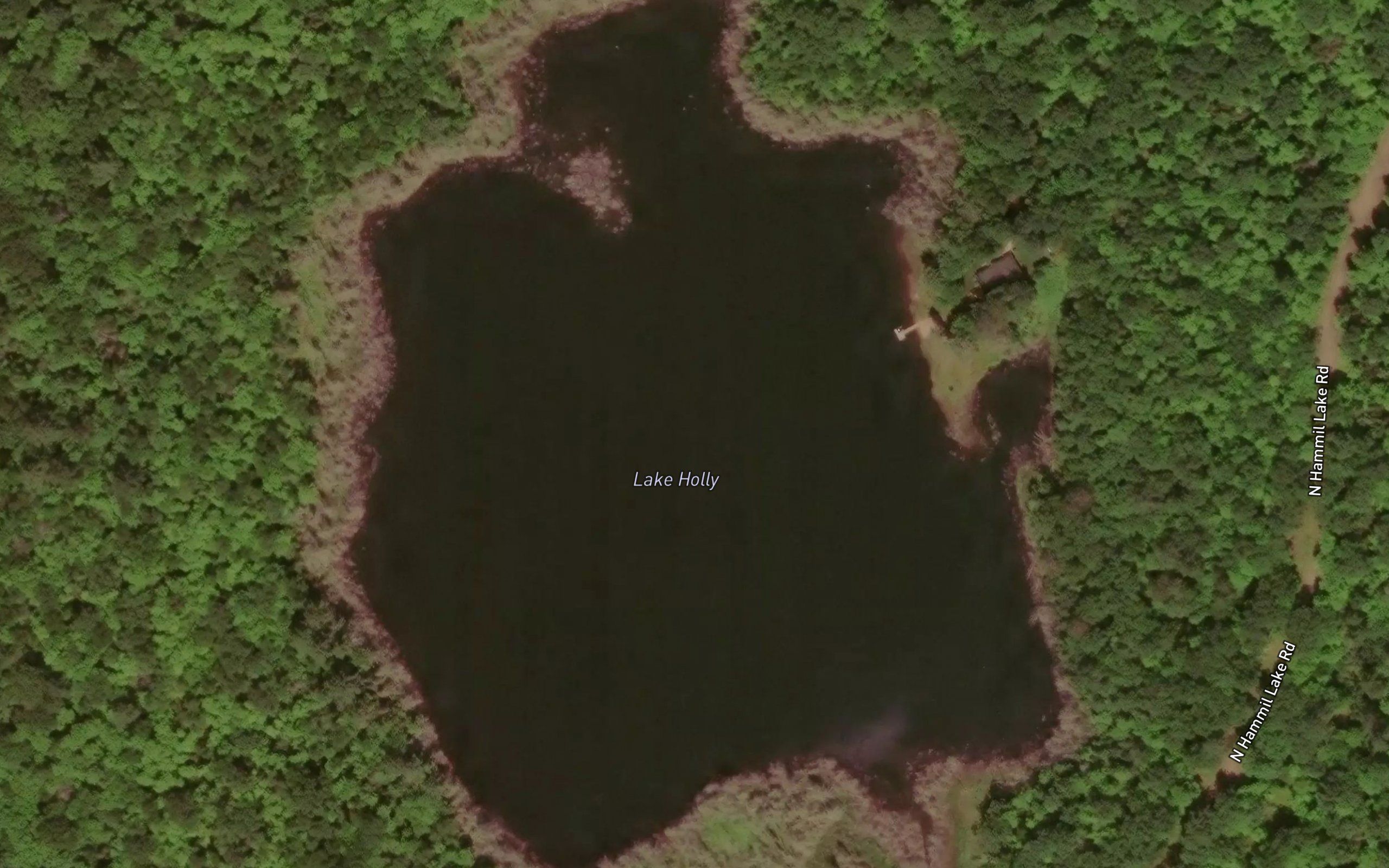 Lake Holly
