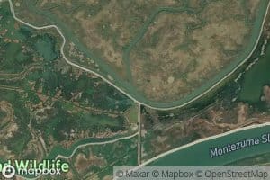 Second Mallard Branch