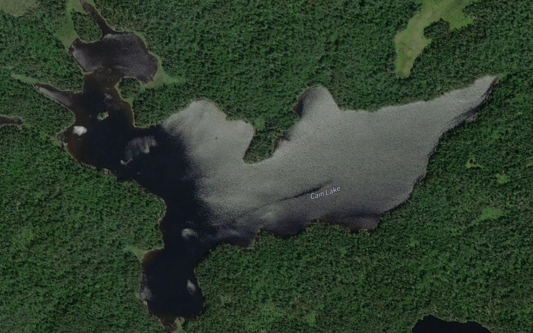 Satellite map of the Cain Lake