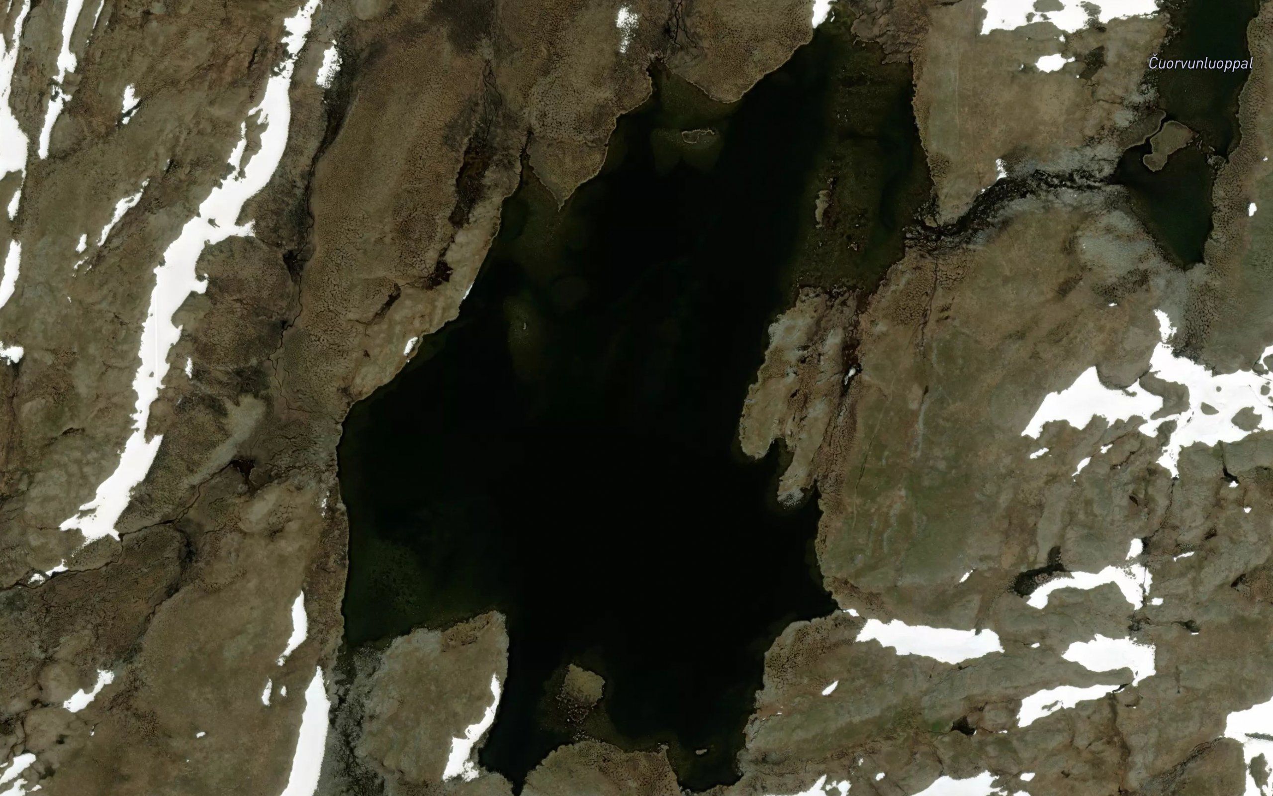 Cuorvunjavri