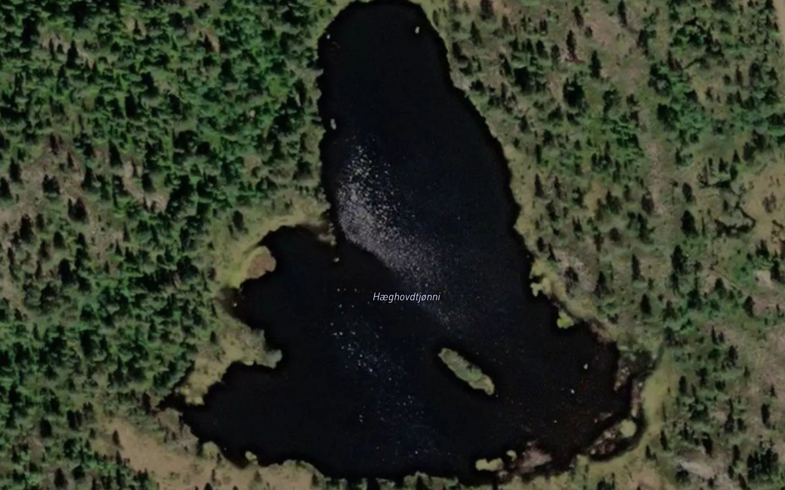 Haeghovdtjonni