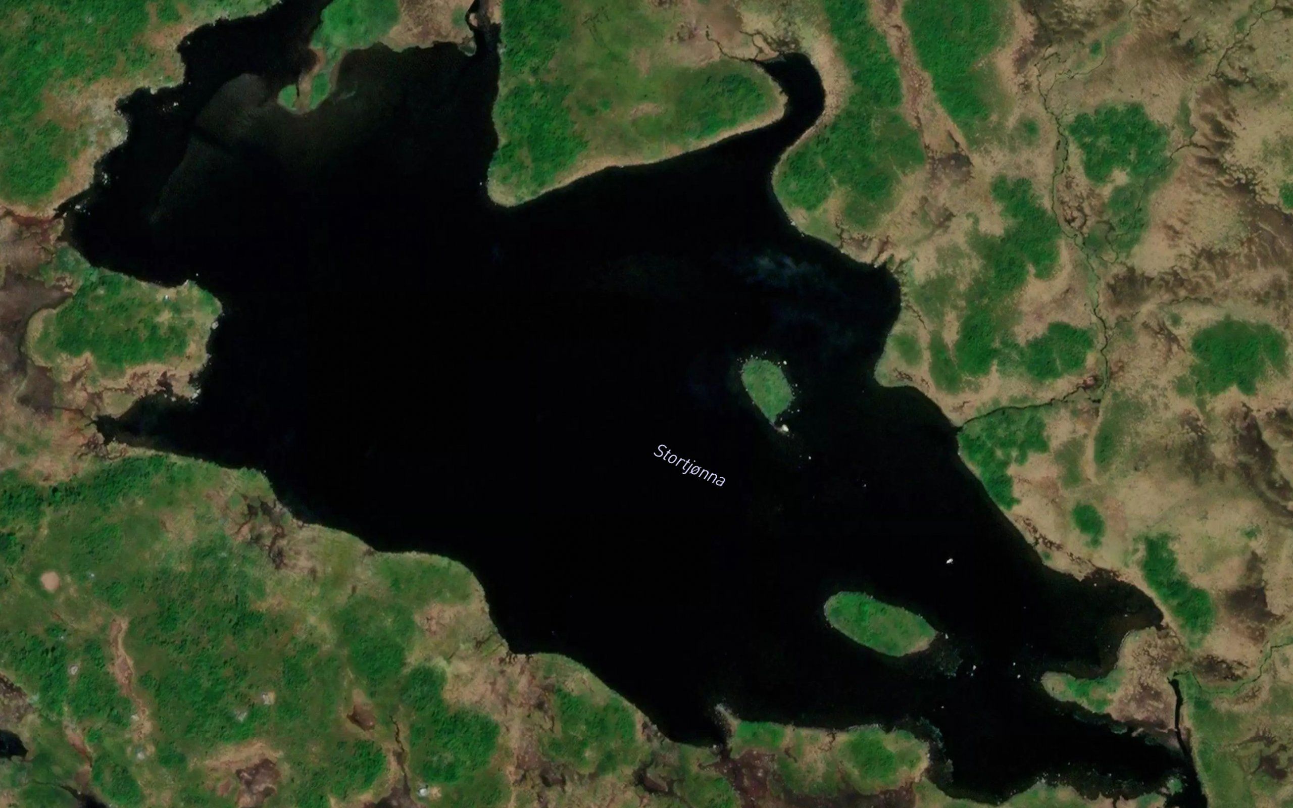 Stortjorn