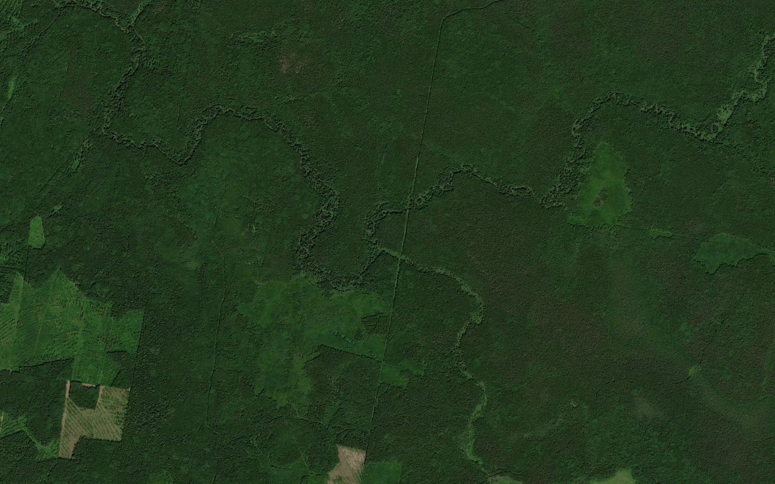 Chernaya