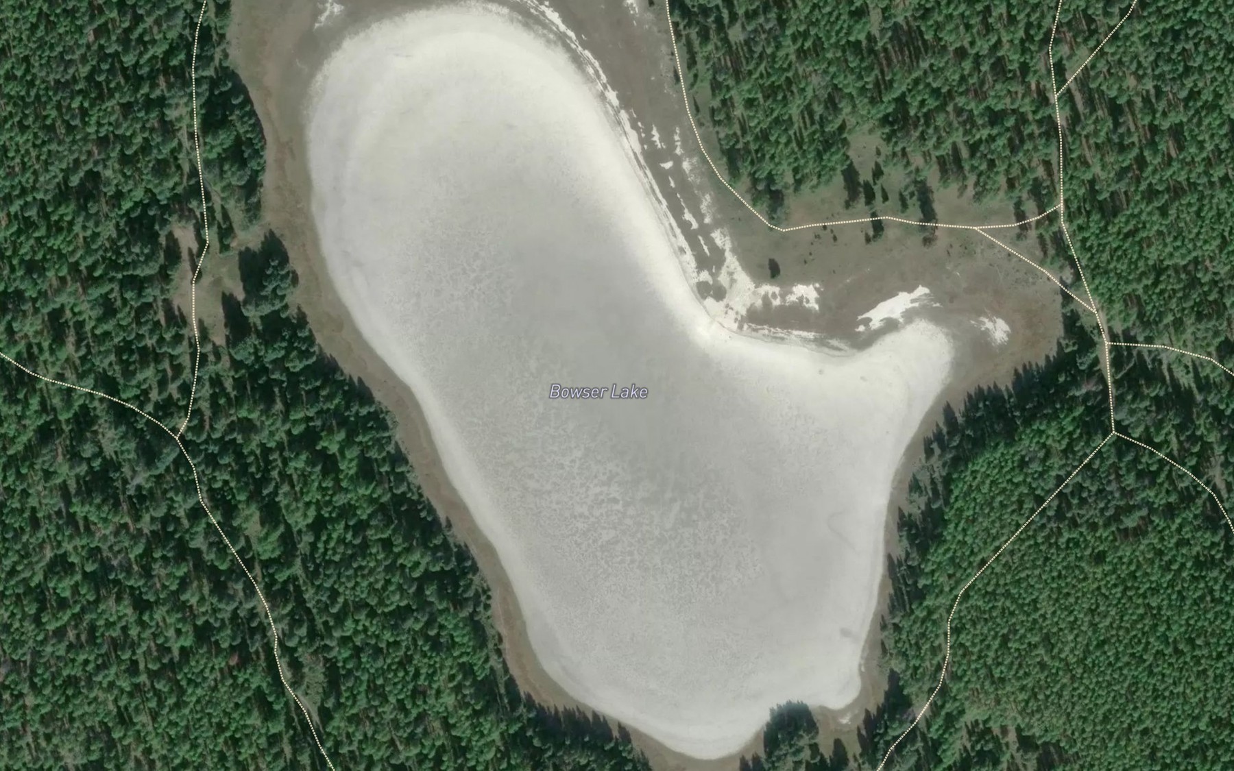 Satellite map of the Bowser Lake