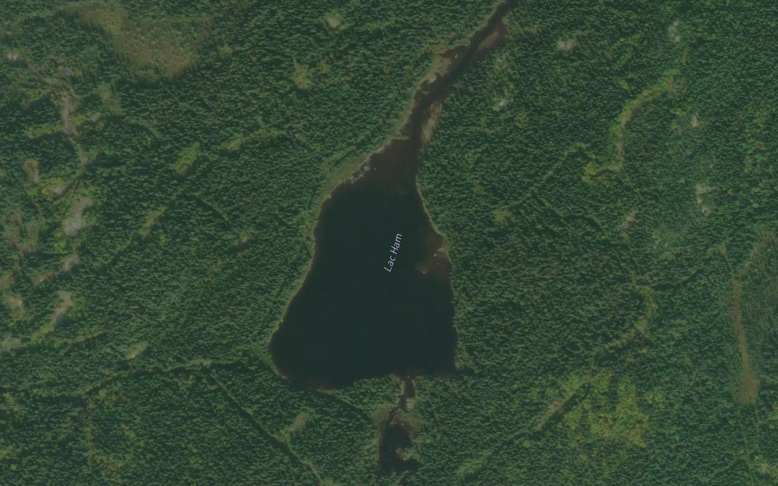 Lac Ham