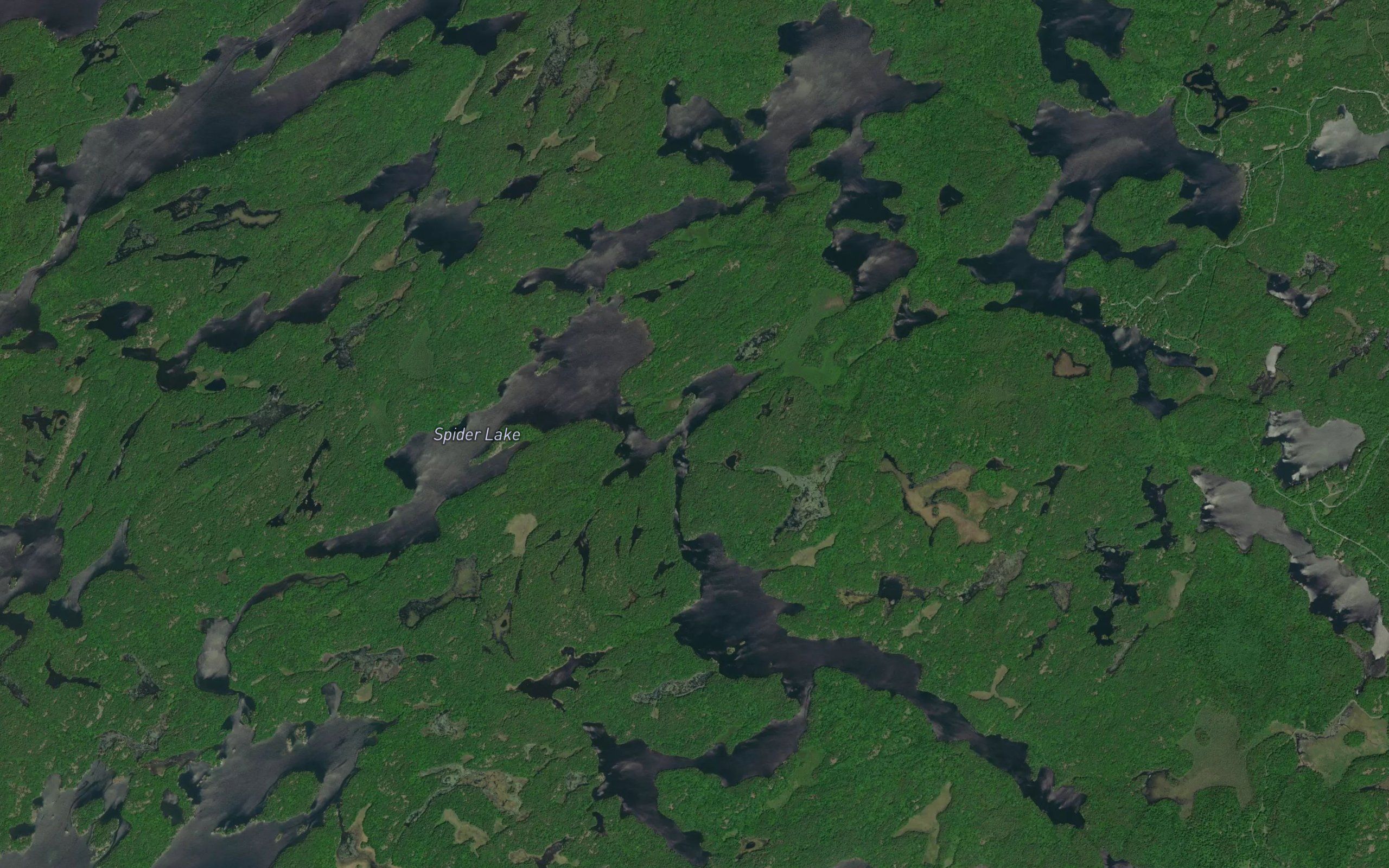 Spider Lake