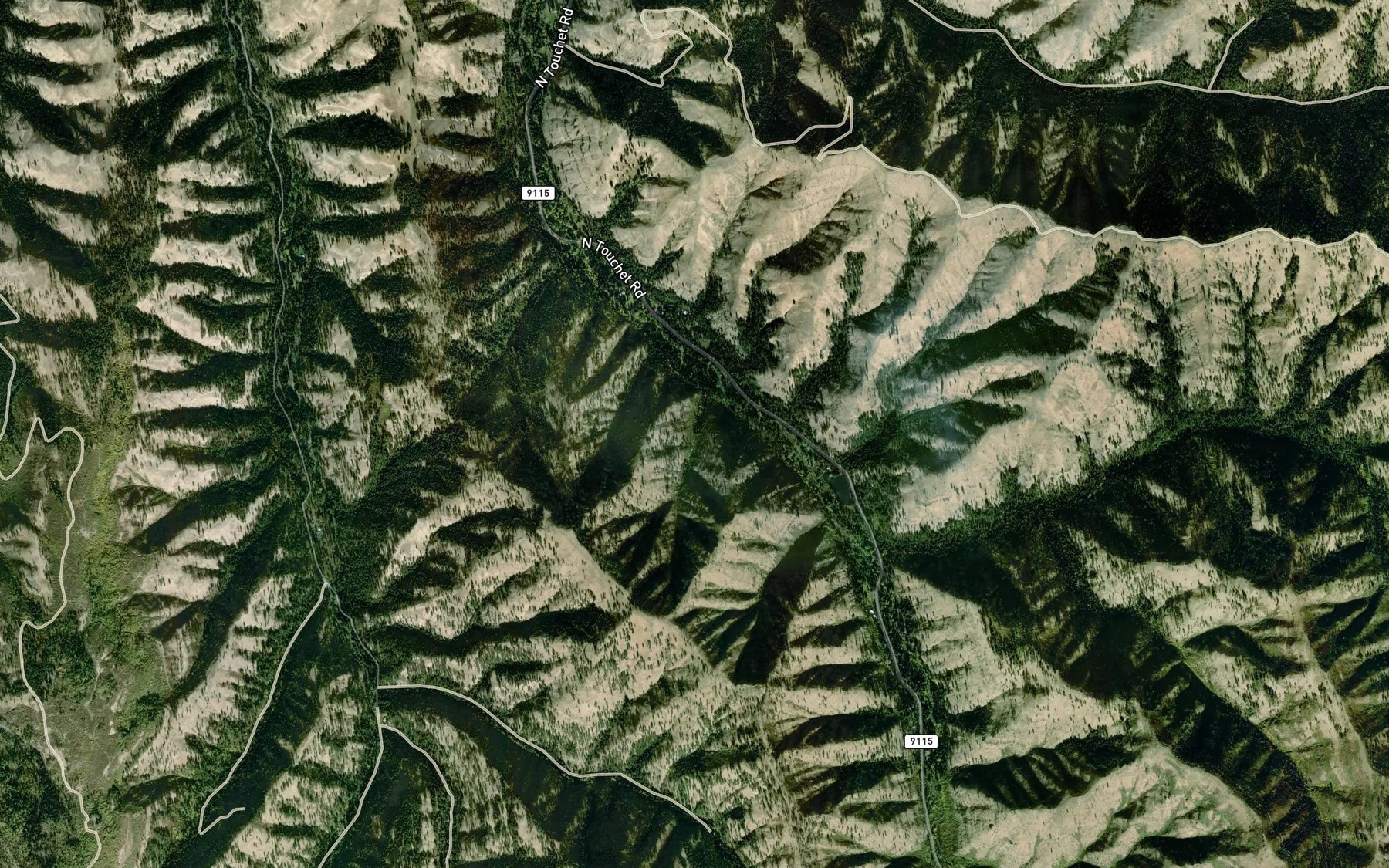 Satellite map of the Homestead Spring