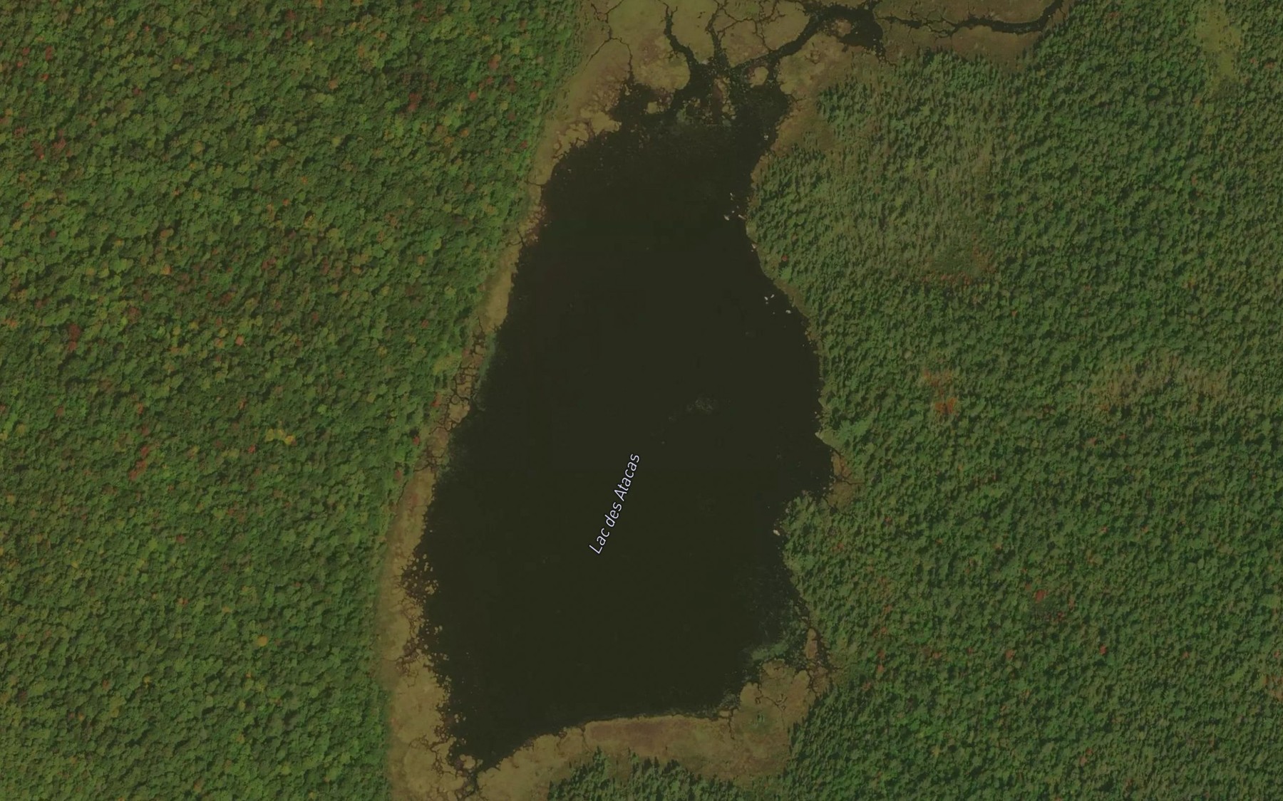 Satellite map of the Lac des Atacas