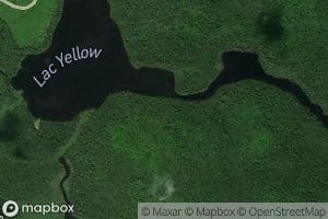 Lac Yellow