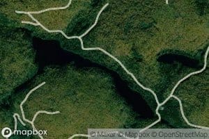 Lac Harvey