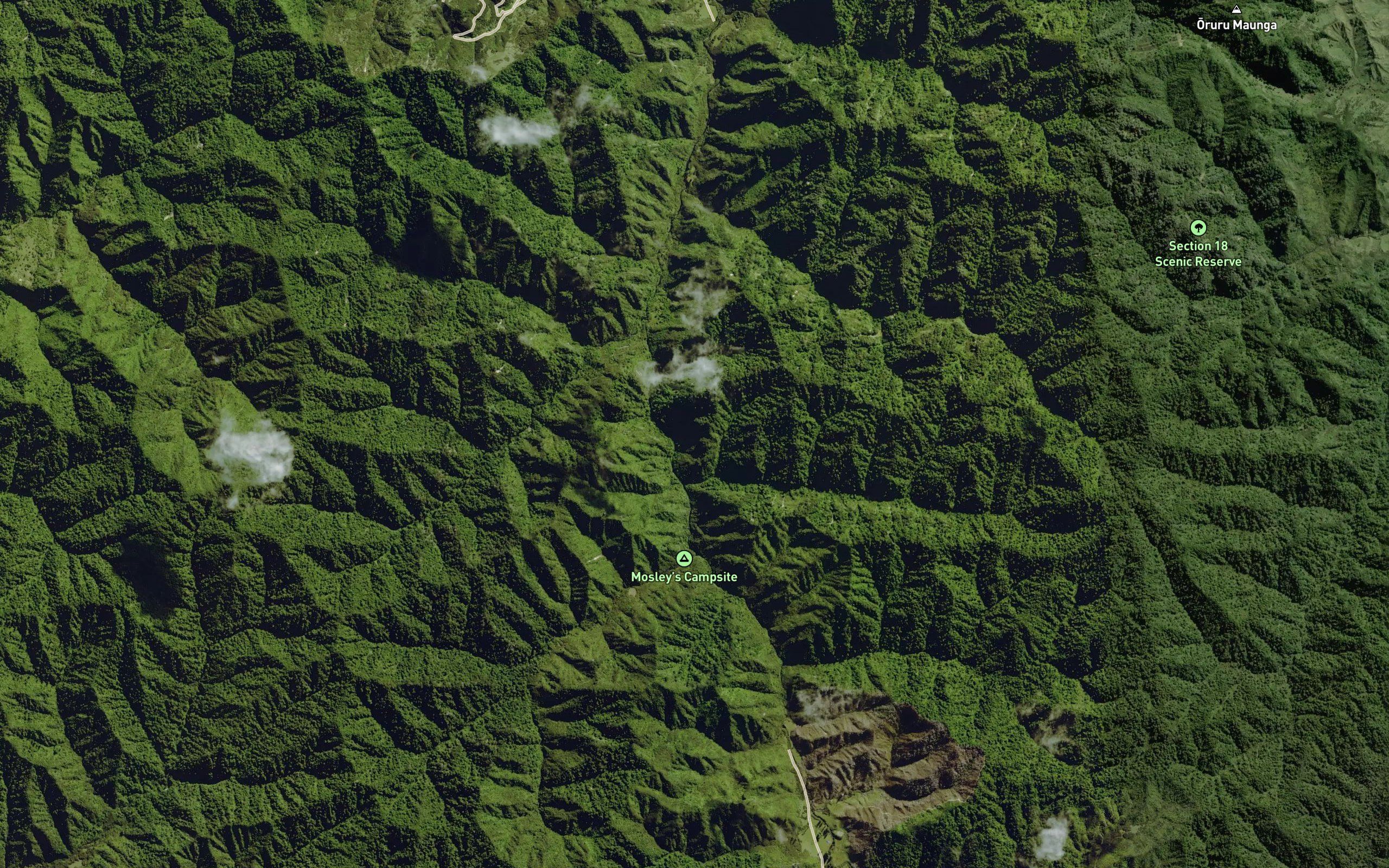 Waiiti Stream