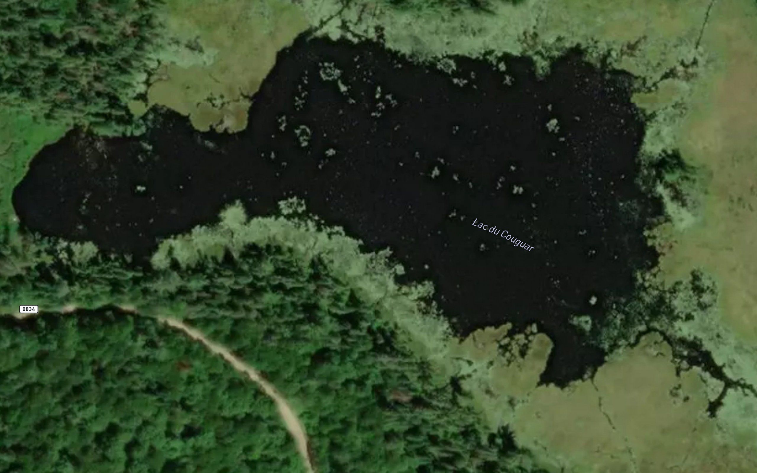 Lac du Couguar