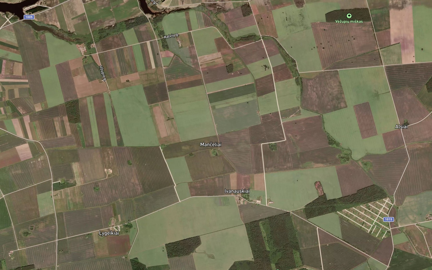Satellite map of the Telingupis