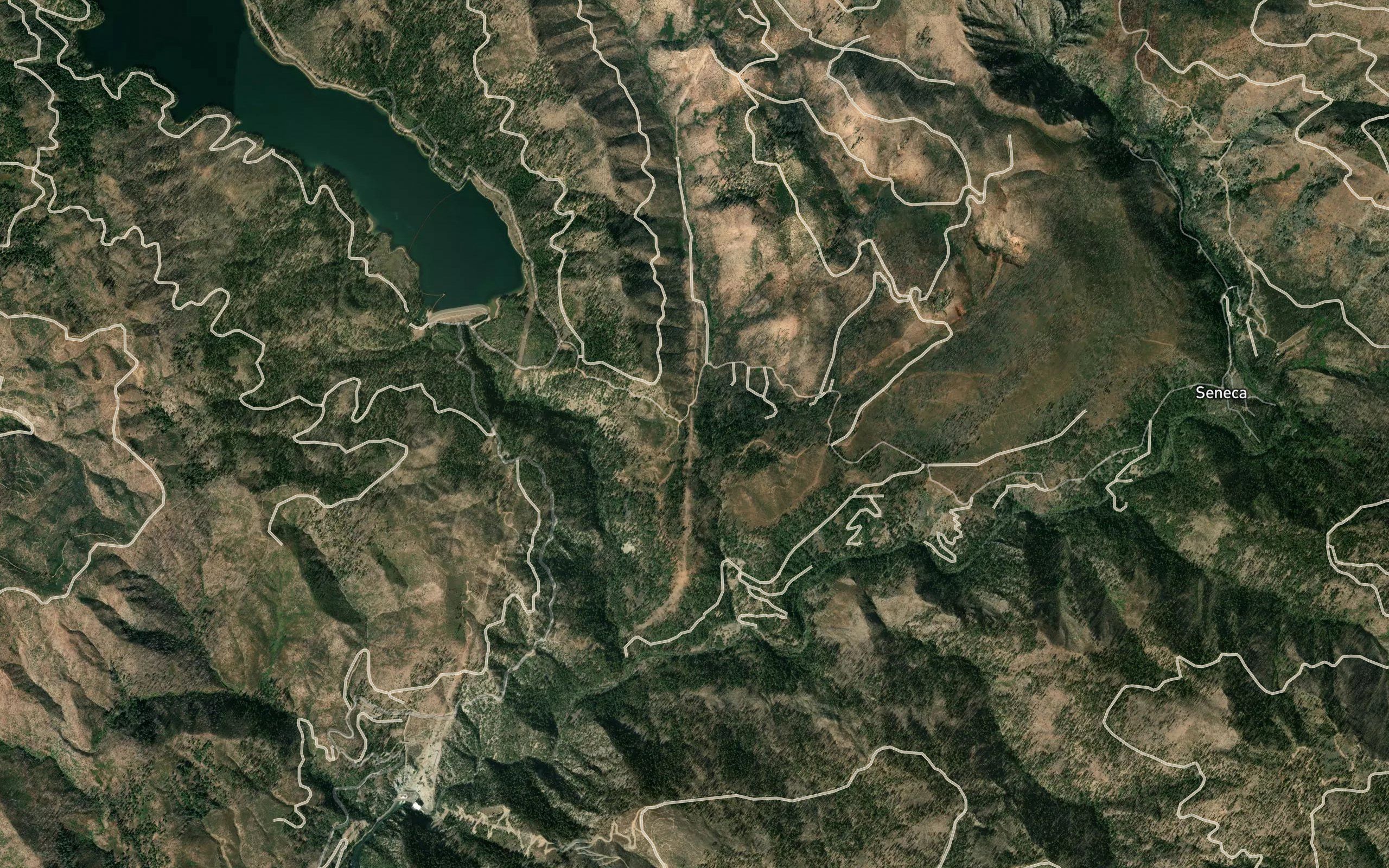 Owl Creek