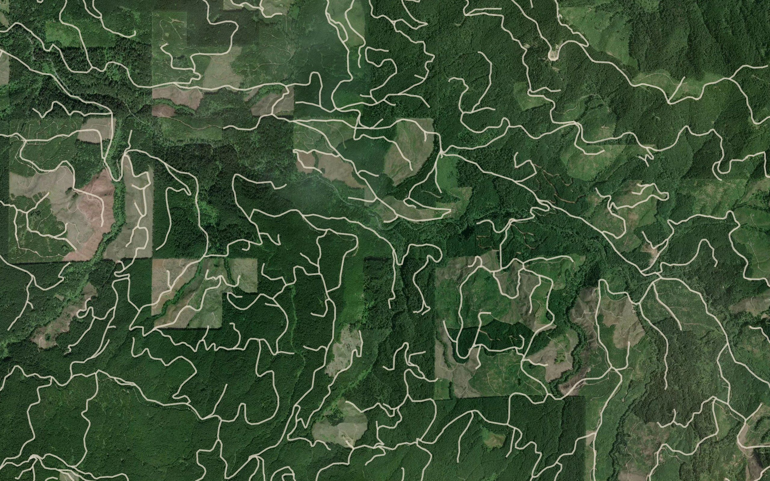 Hortense Creek