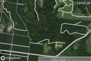Nauwa