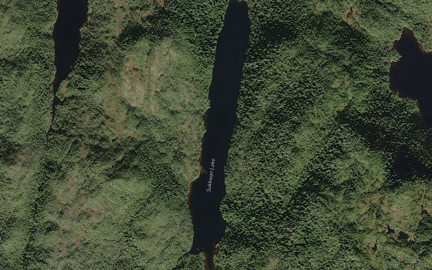 Satellite map of the Sukkwan Lake