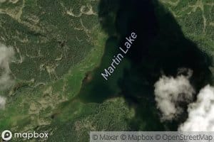 Martin Lake