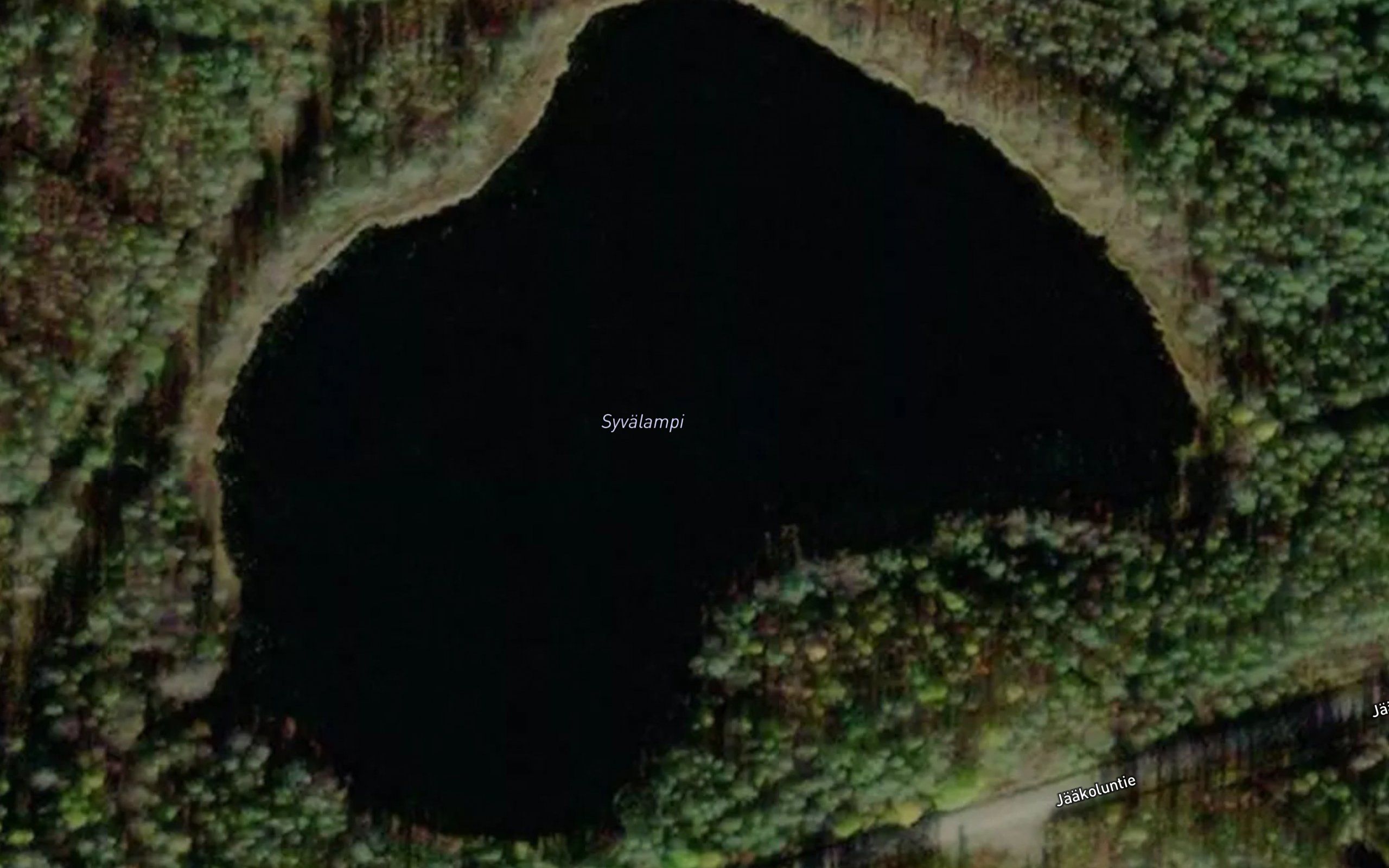 Syvalampi