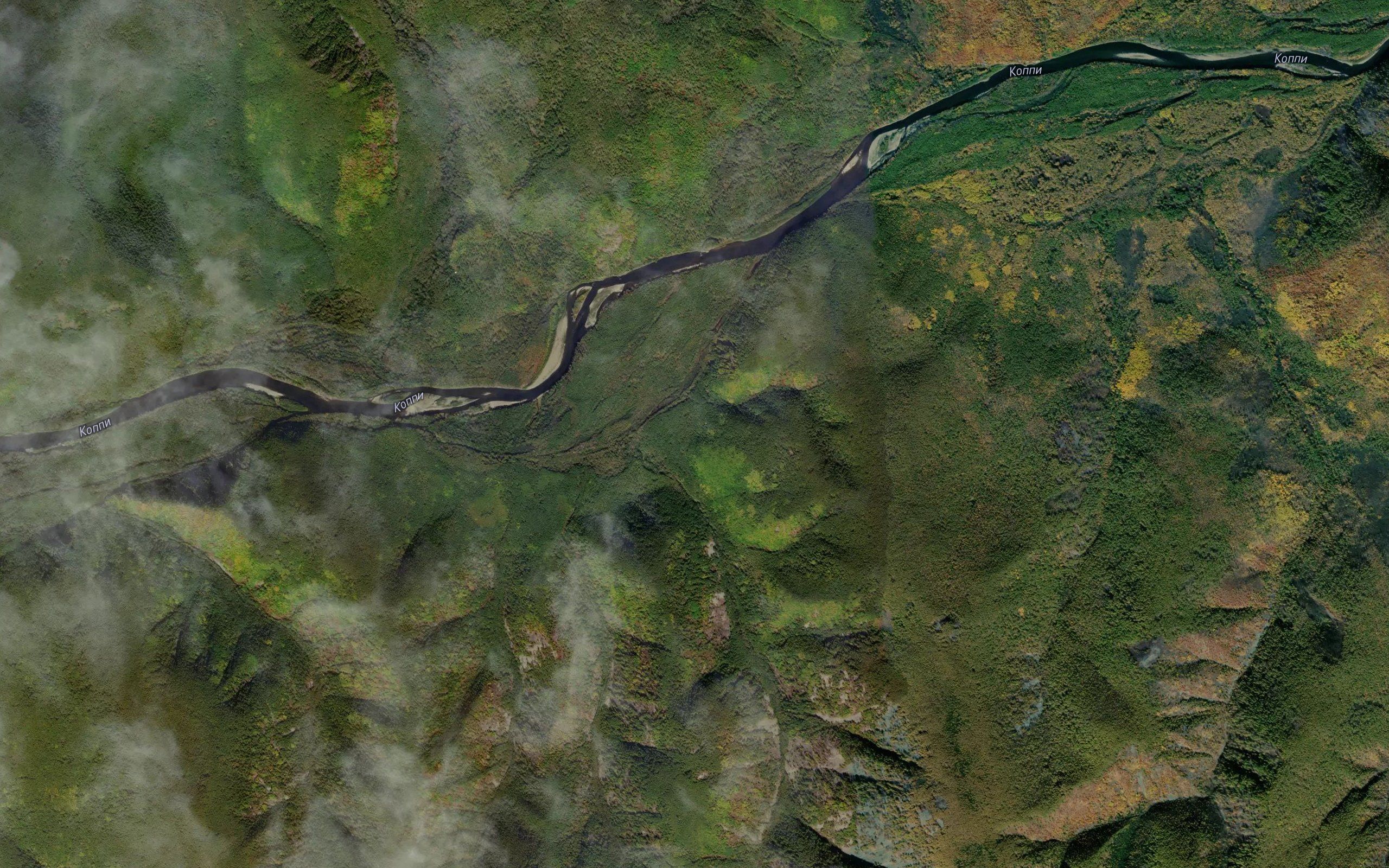 Tyuynyuko