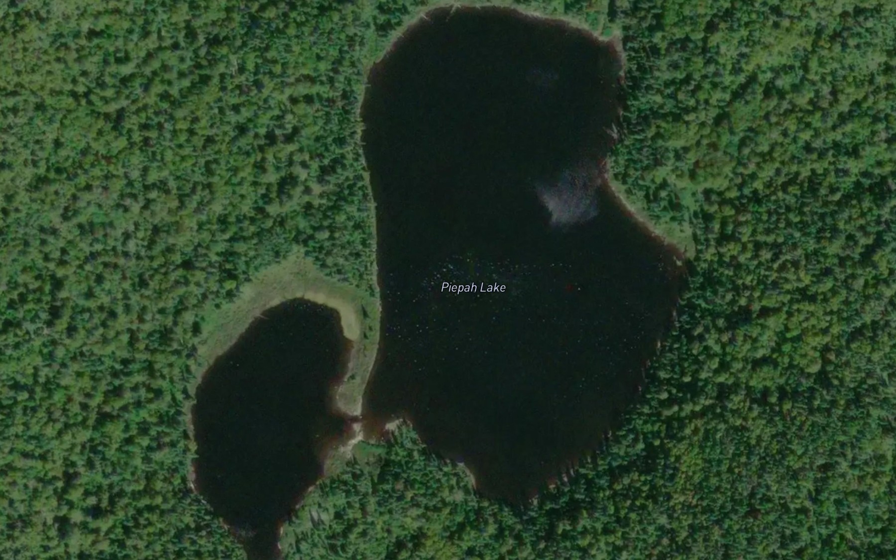 Satellite map of the Piepah Lake