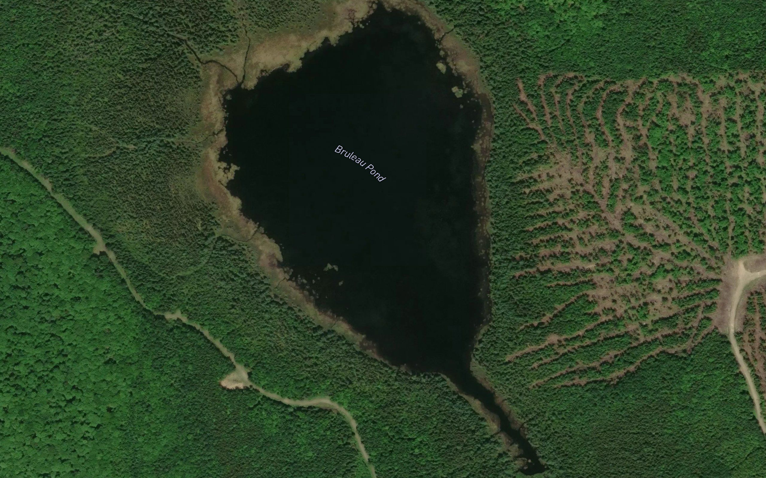 Bruleau Pond