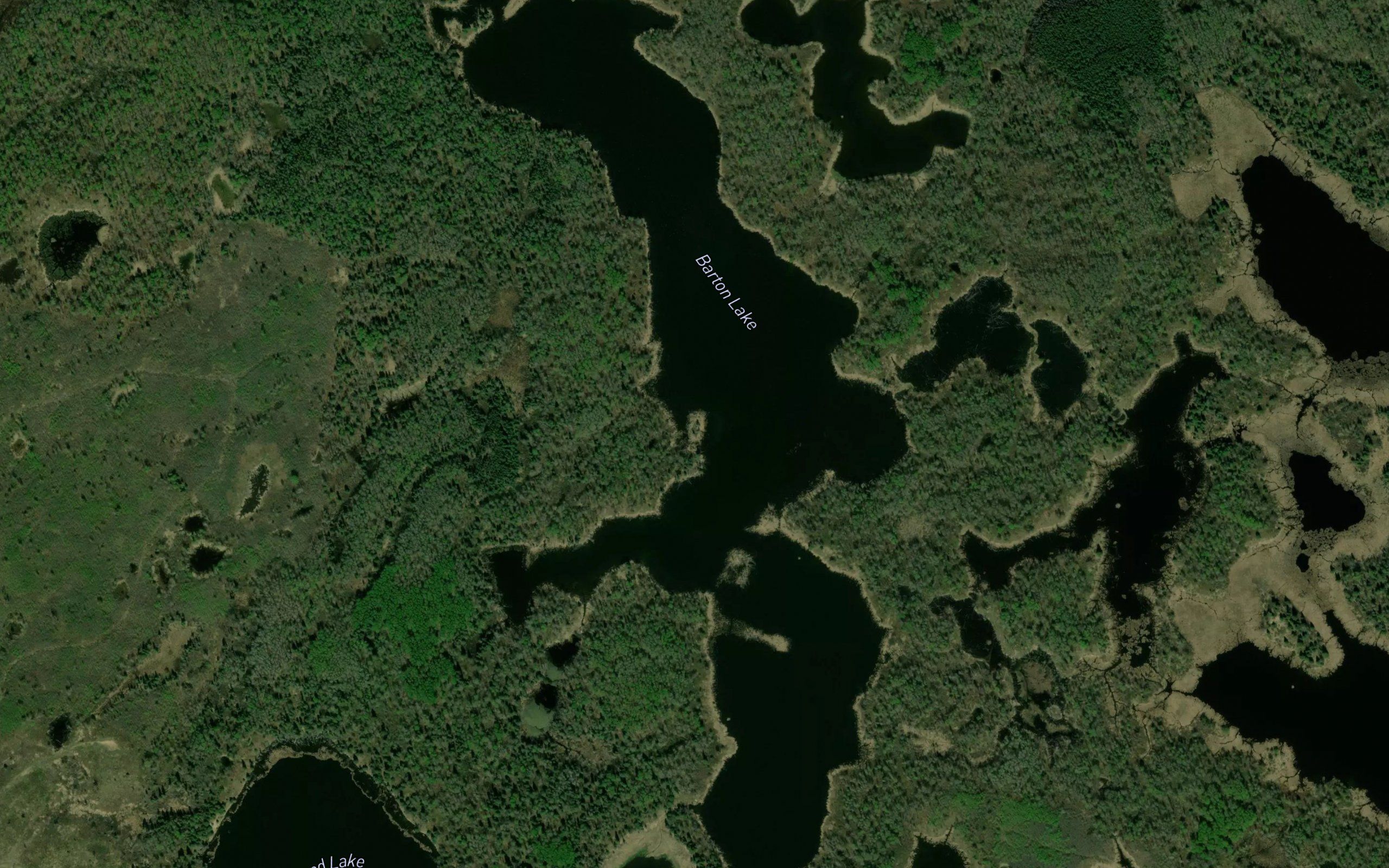 Barton Lake