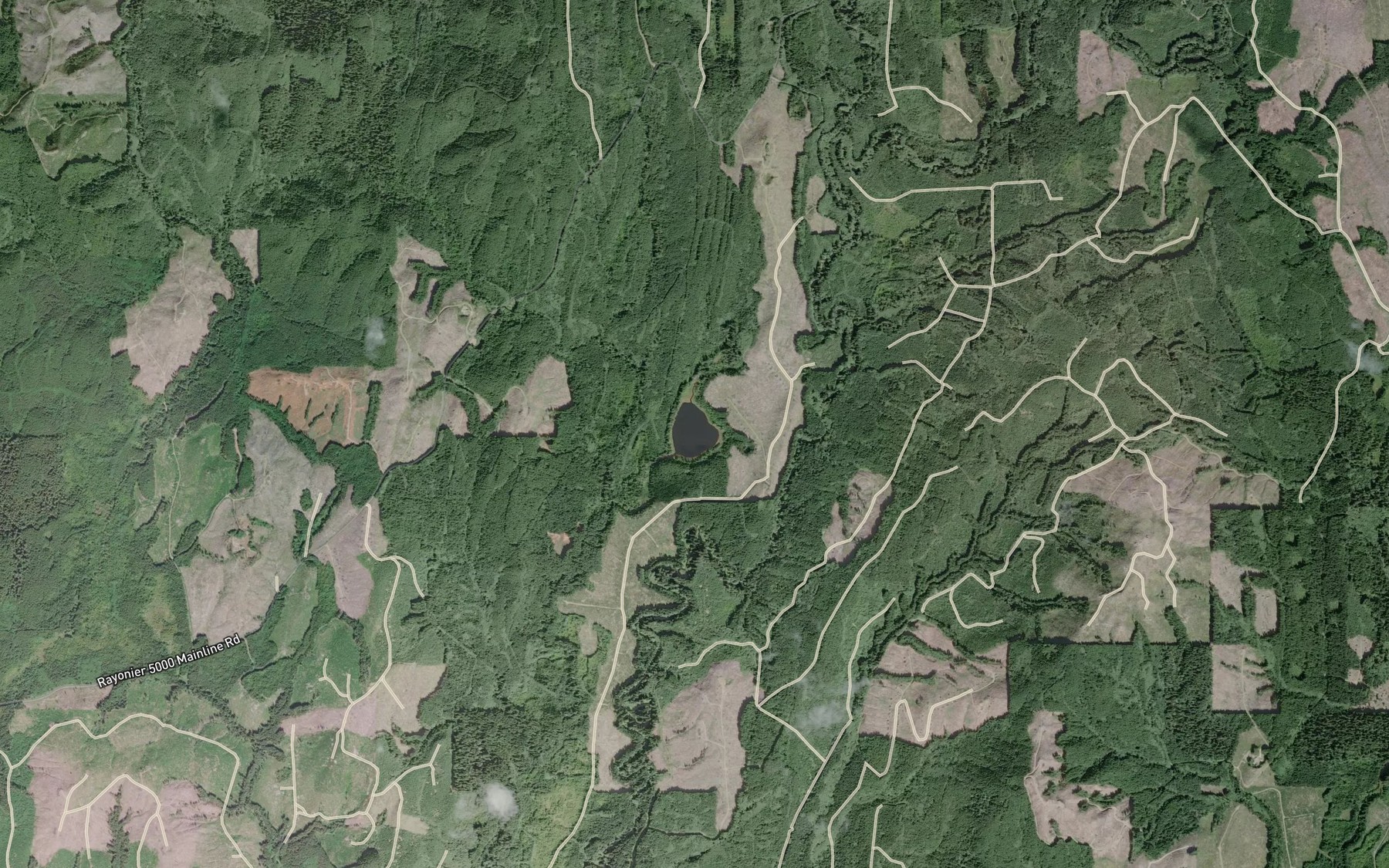 Satellite map of the Big Joes Lake