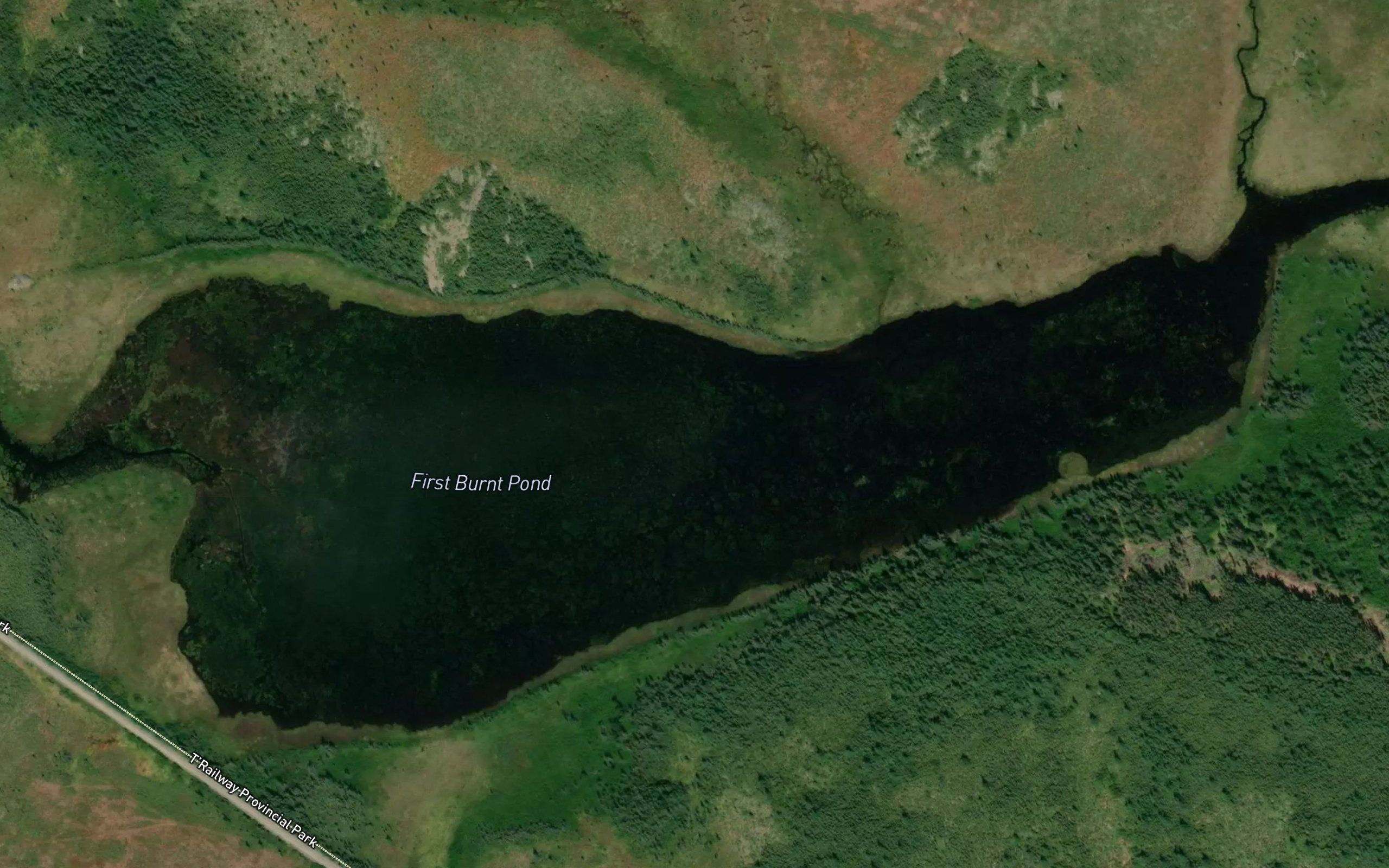 First Burnt Pond