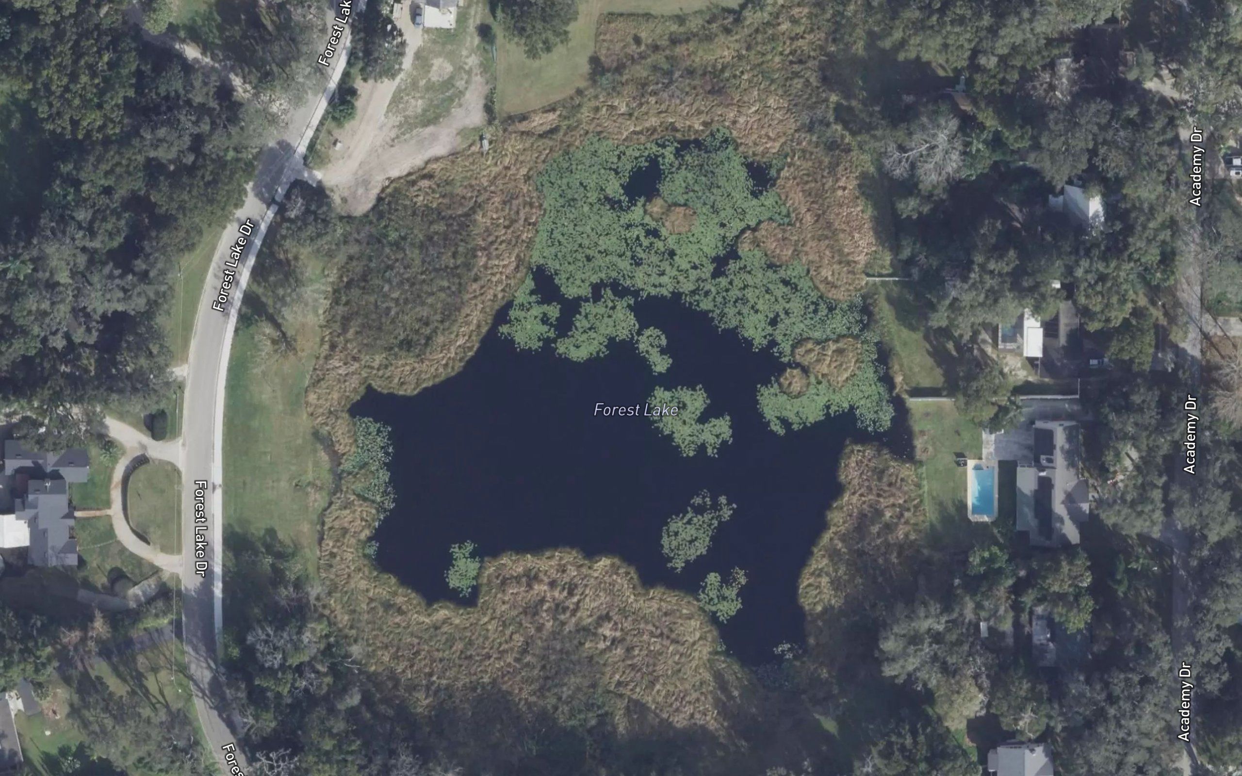 Forest Lake