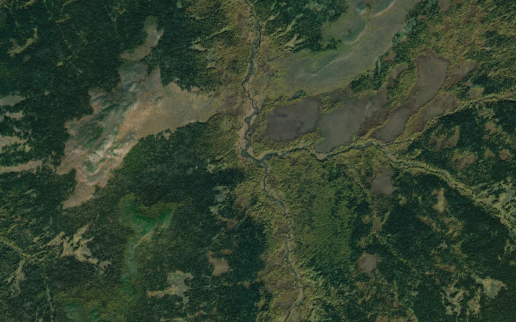 Satellite map of the Bolotnyy