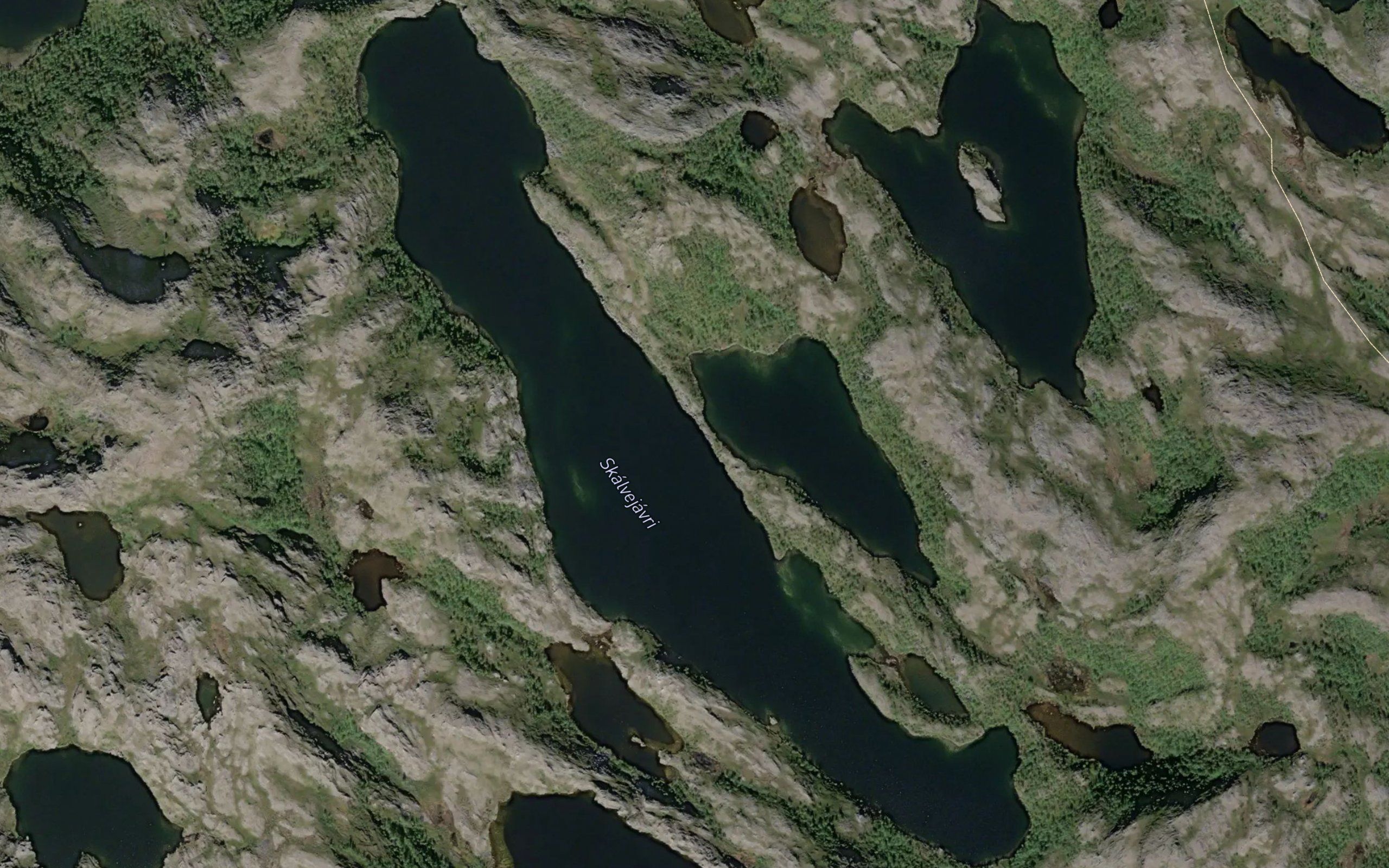 Skalvejavri