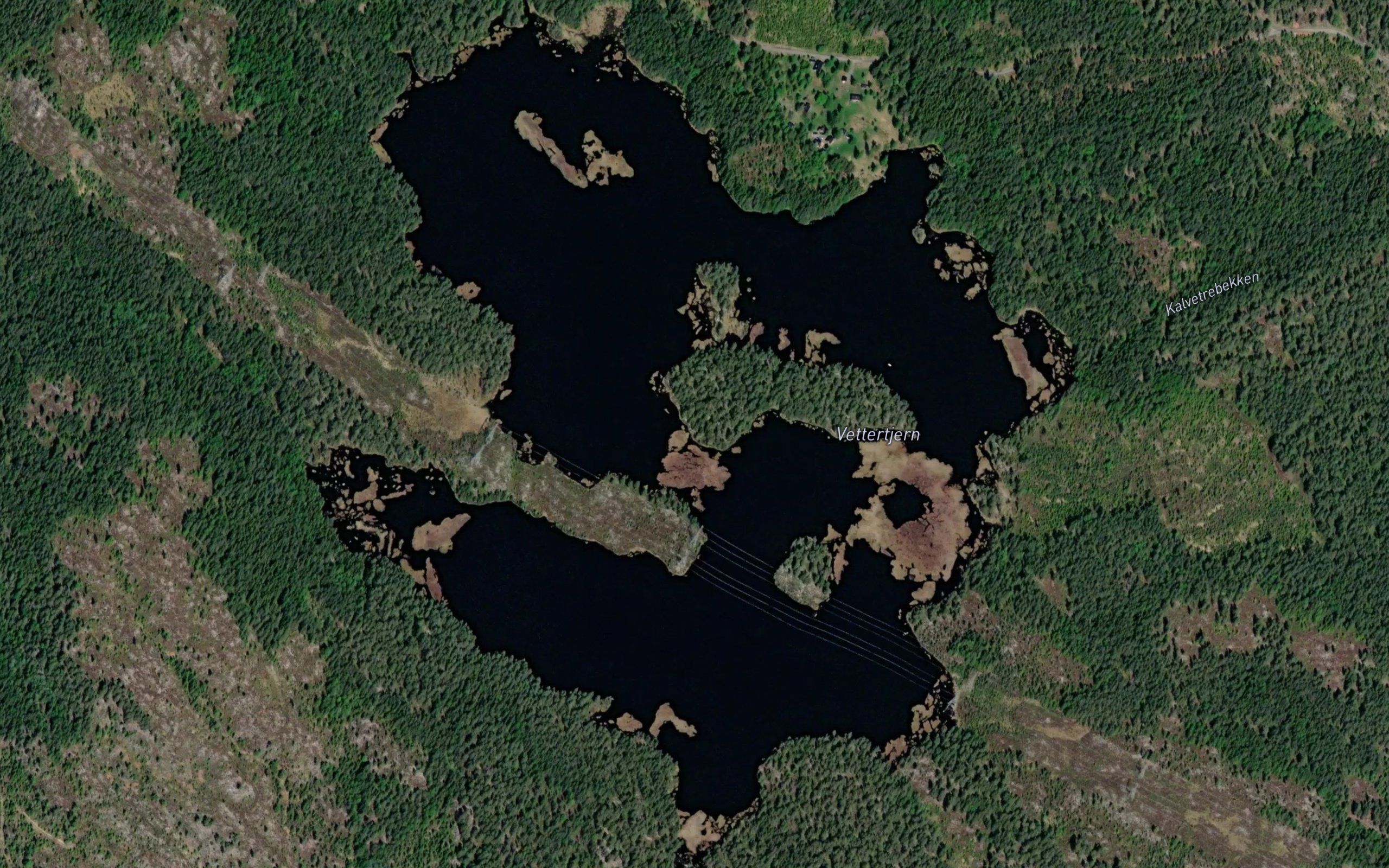 Vettertjern