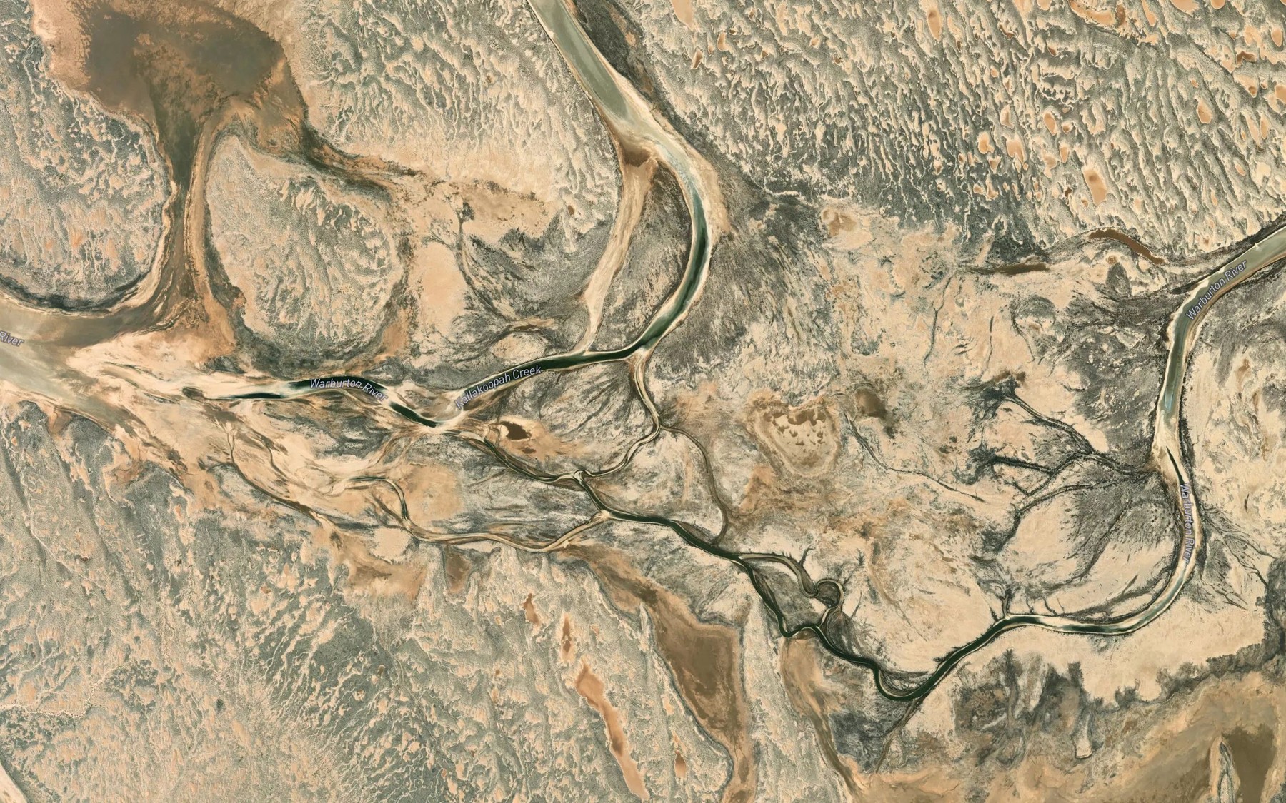 Satellite map of the Warburton Creek