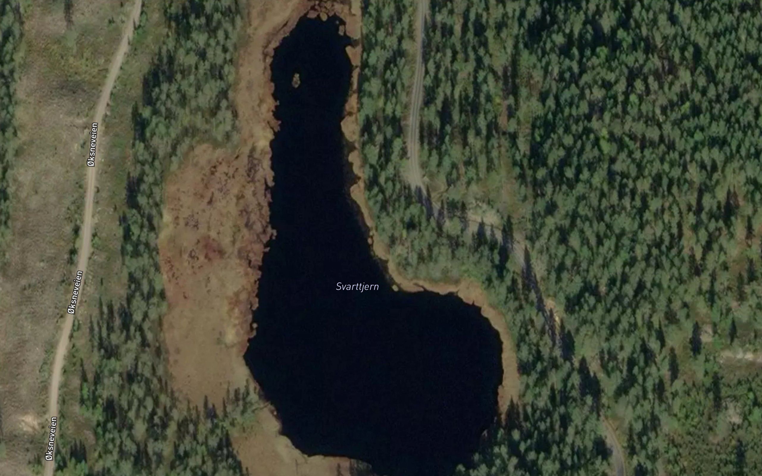 Svarttjern