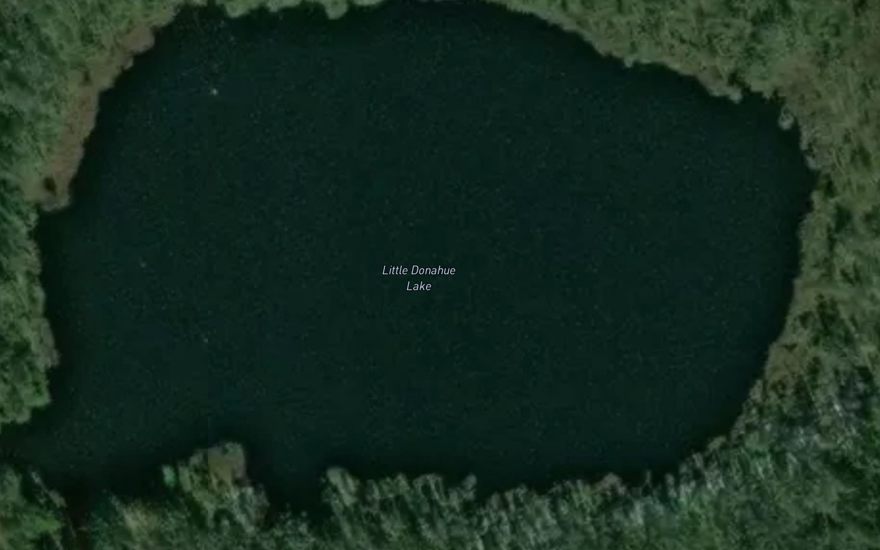 Satellite map of the Little Donahue Lake