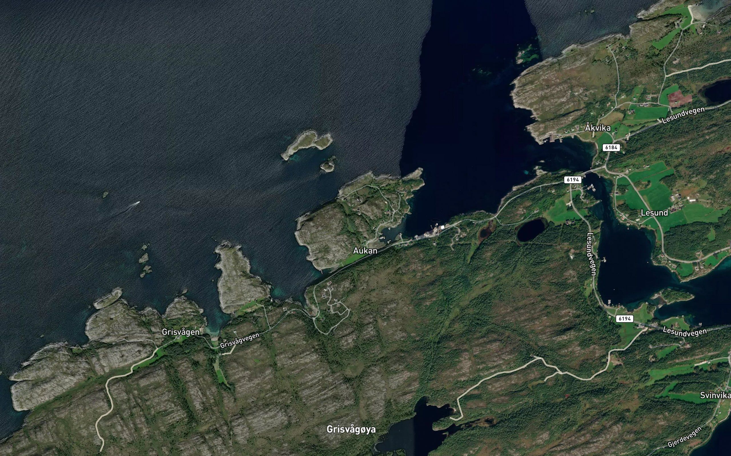 Auktjonna