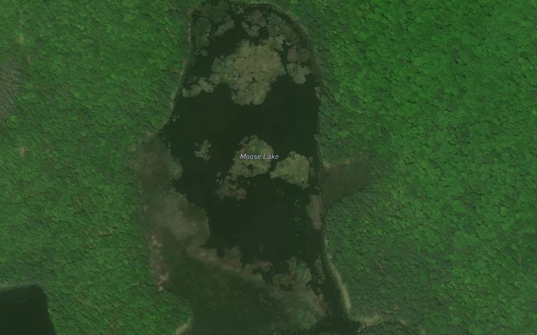 Satellite map of the Moose Lake