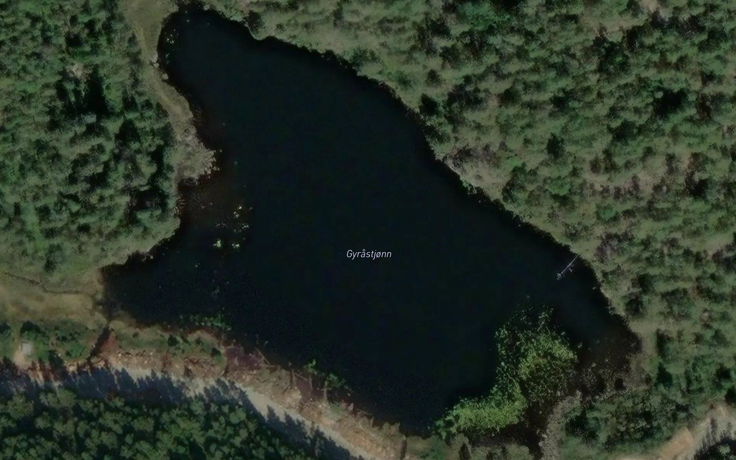 Gyrastjonn