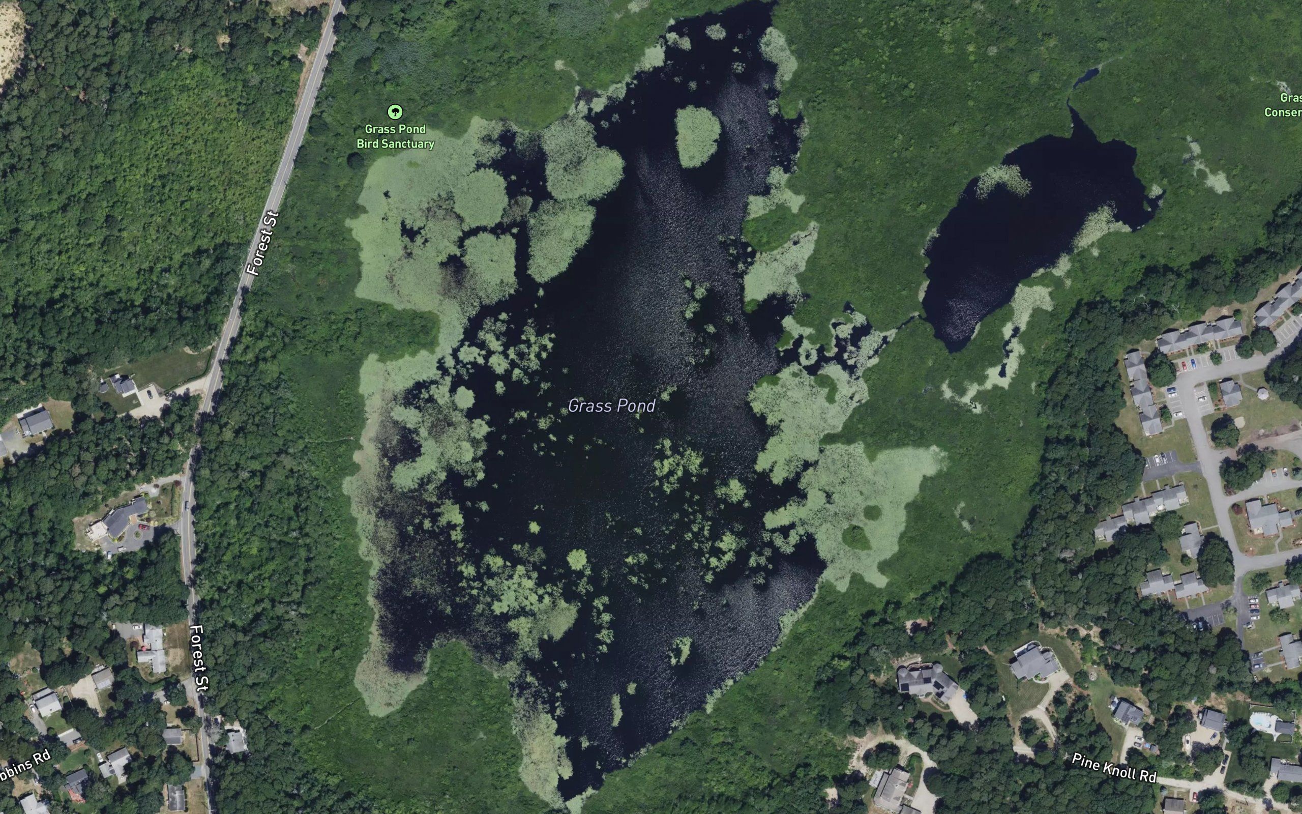 Grass Pond