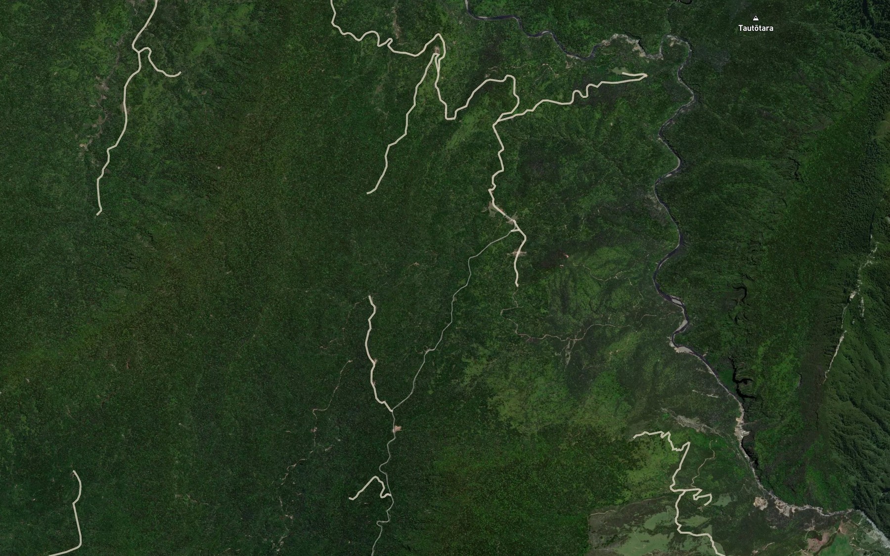Satellite map of the Mangakahakaha Stream