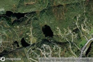 Andestjorn