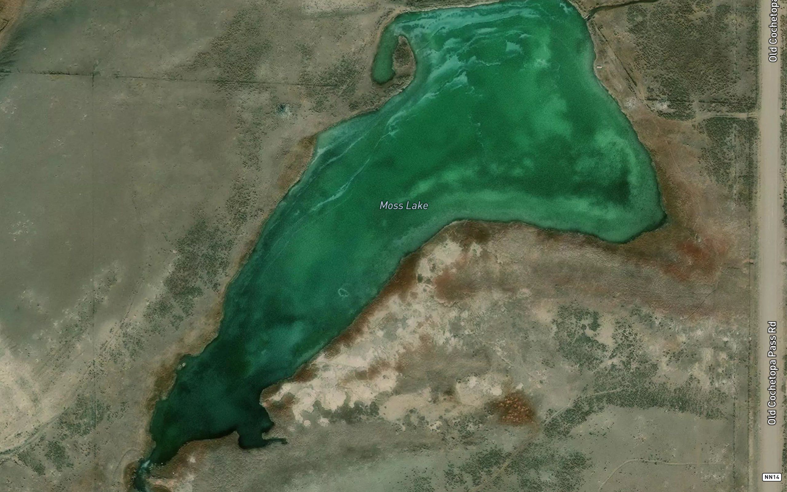 Moss Lake