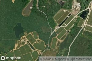 Raccoon Pond