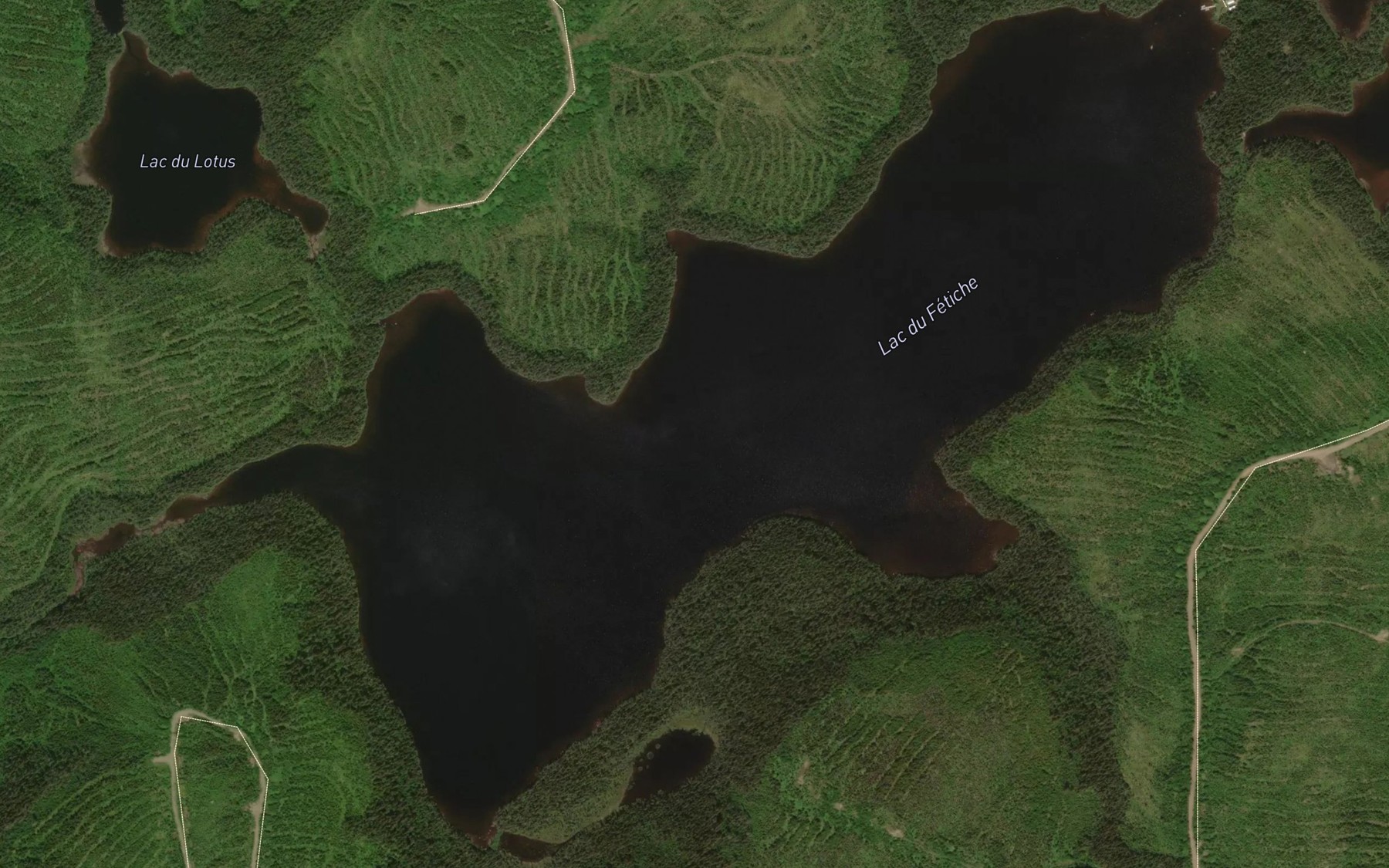 Satellite map of the Lac du Fetiche