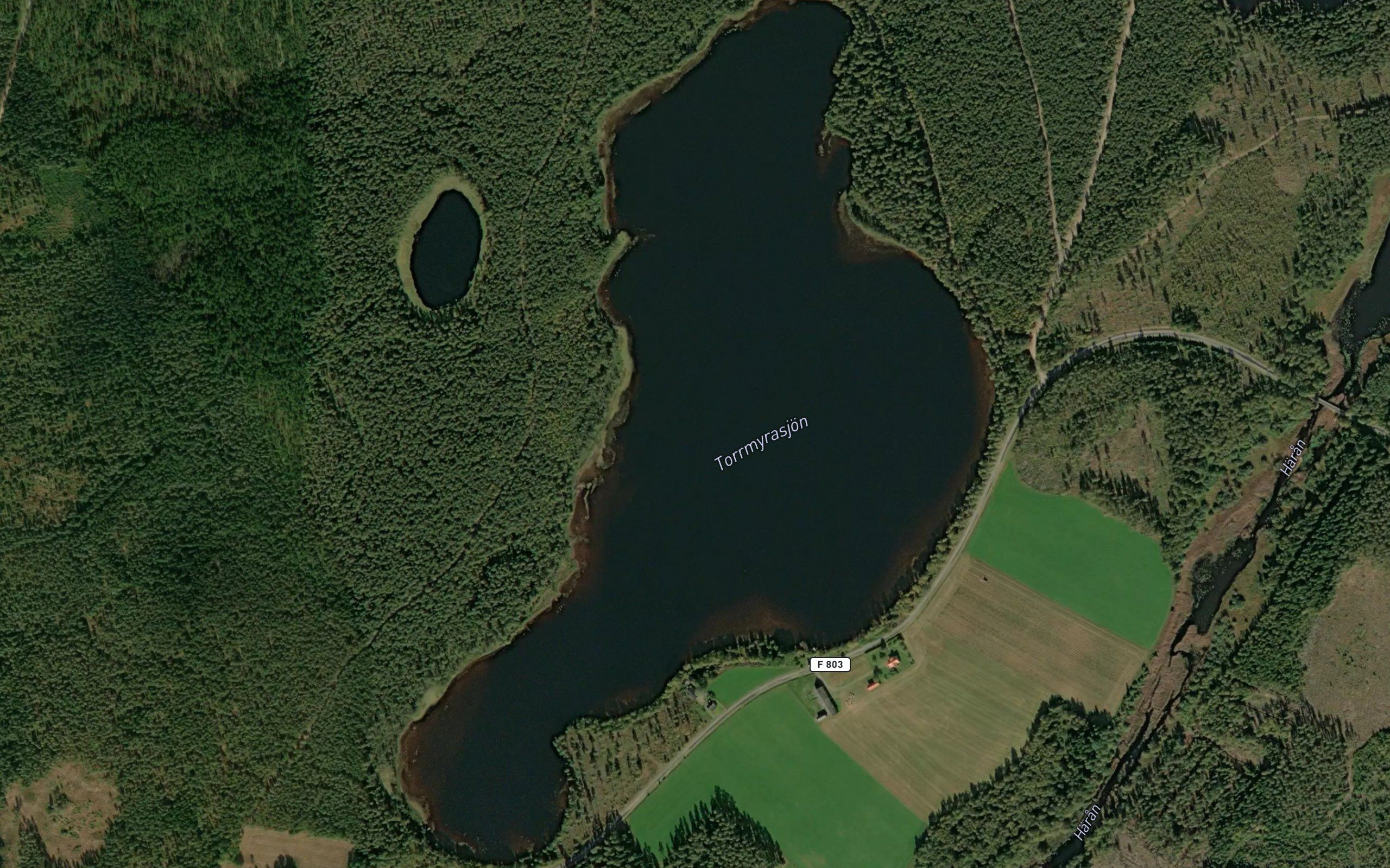 Torrmyrasjoen
