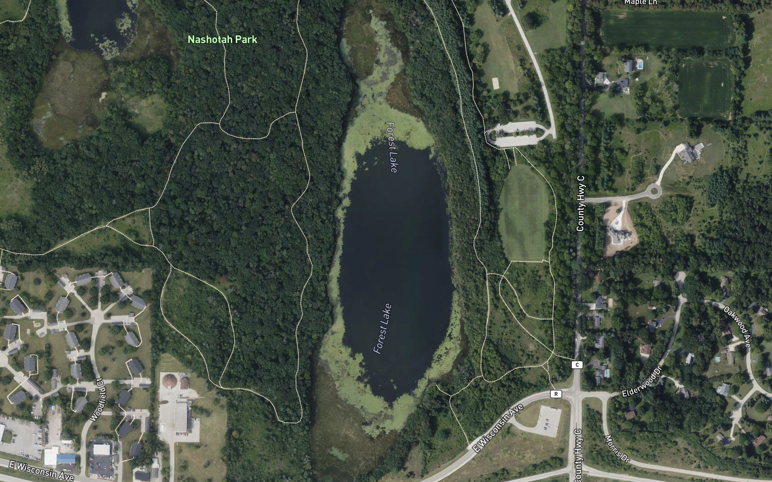 Forest Lake